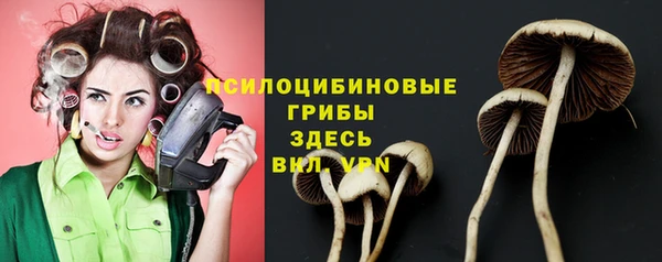 apvp Белоозёрский