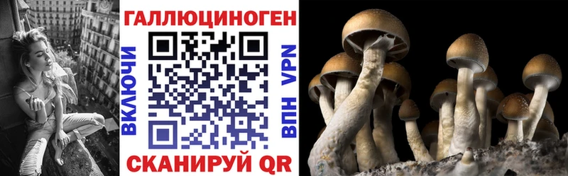 Псилоцибиновые грибы Magic Shrooms Гремячинск