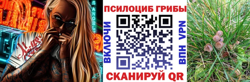 Галлюциногенные грибы Psilocybine cubensis  магазин  наркотиков  Гремячинск 